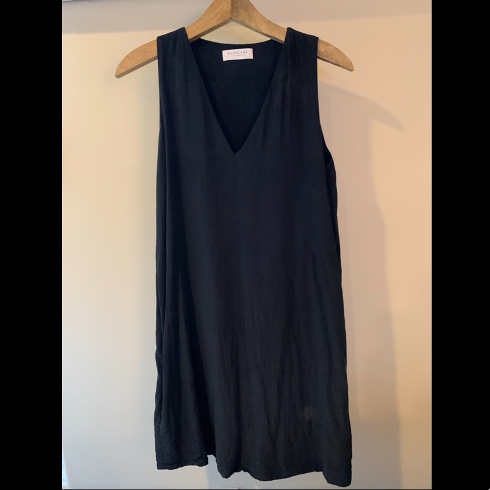 Everlane Silk Dress